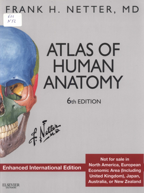 Атлас человека неттер. Atlas of Human Anatomy Frank h. Netter. Фрэнк Неттер атлас анатомии человека. Atlas of Human Anatomy (Frank h. Netter) 6th Edition. Netter Atlas of Human Anatomy 6th Edition.