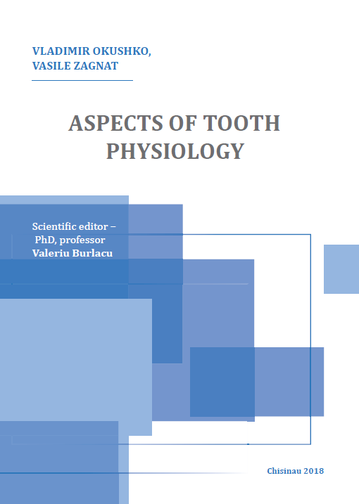 tooth physiology