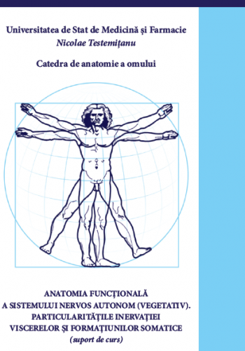 anatomia funcționala