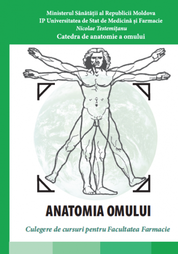 anatomia omului