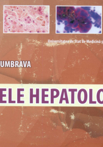 bazele hepatologiei