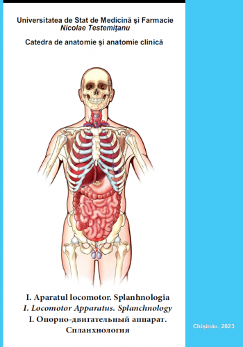 ANATOMIA