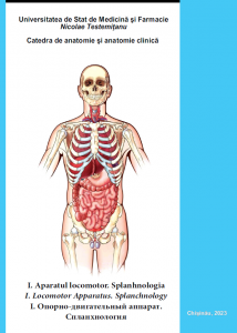 ANATOMIA